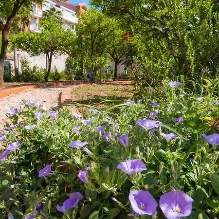 아파트 Dvori With Garden, Free Parking Next To Sea *