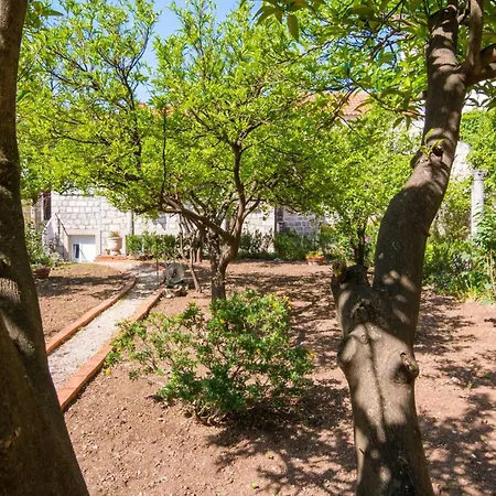 Dvori With Garden, Free Parking Next To Sea 두브로브니크