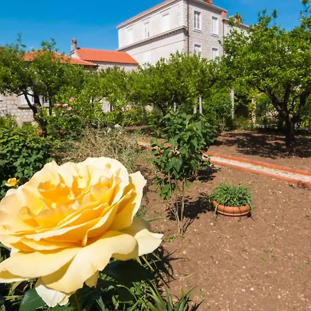 Dvori With Garden, Free Parking Next To Sea Apartment